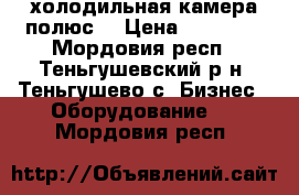 холодильная камера полюс  › Цена ­ 10 000 - Мордовия респ., Теньгушевский р-н, Теньгушево с. Бизнес » Оборудование   . Мордовия респ.